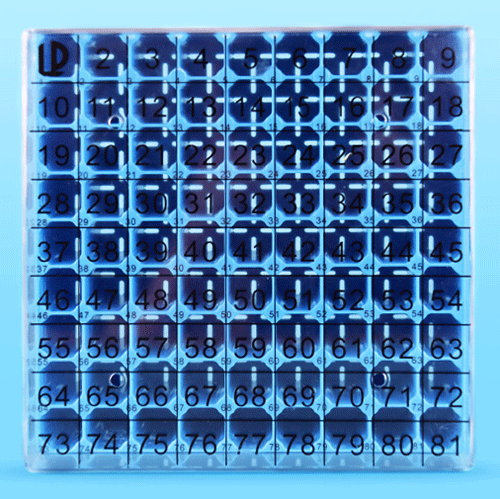pc81冻存盒展图2.gif