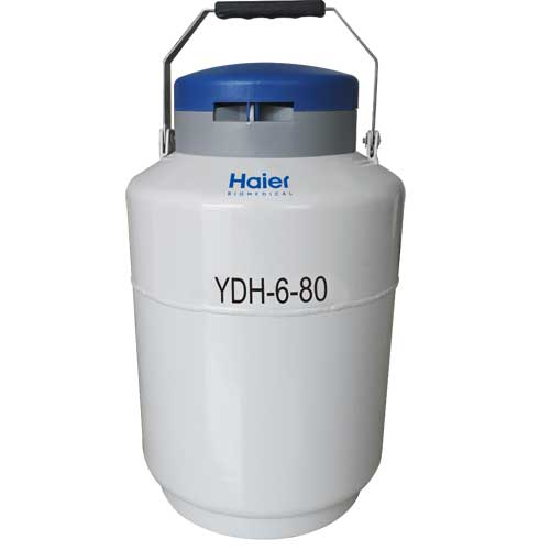 18-2、YDH-6-80.jpg